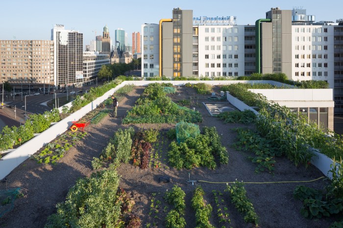 11_Luchtsingel_Dakakker_©_Ossip_van_Duivenbode