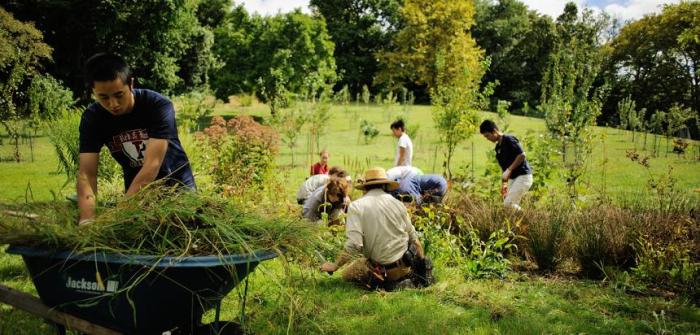 planting-at-bartram-s-community-farm.0.112.1200.574.860.412.c